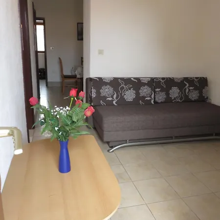 Apartments Marija Pakostane Room photo